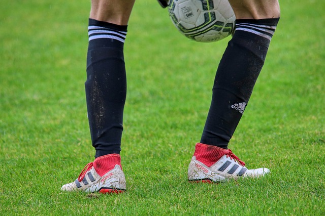 战胜了东部 战胜了东部