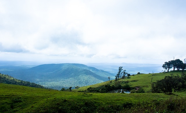 的舞台上 的舞台上