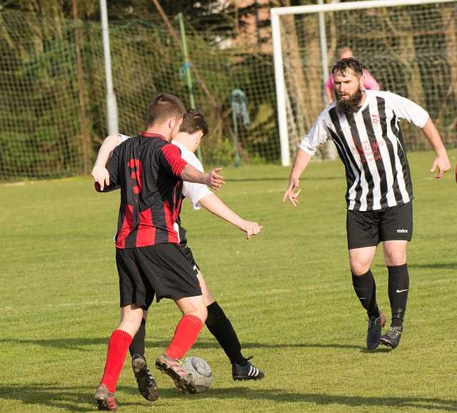 为何国际米 为何国际米