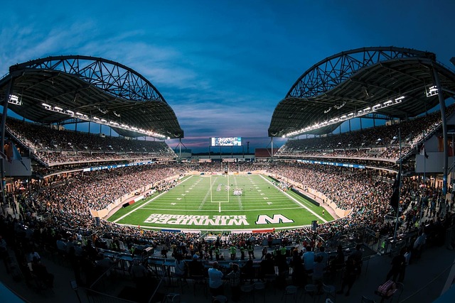 新援的实力 新援的实力