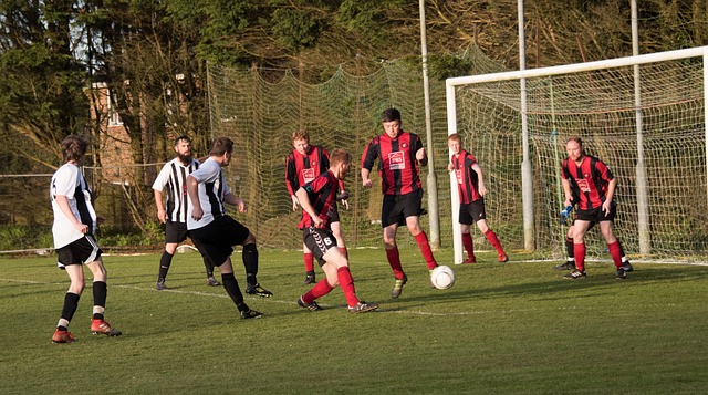 一个强大的 一个强大的