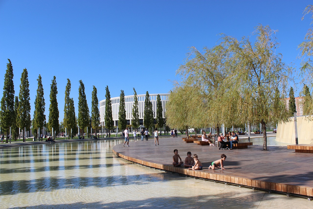 党的发展提 党的发展提