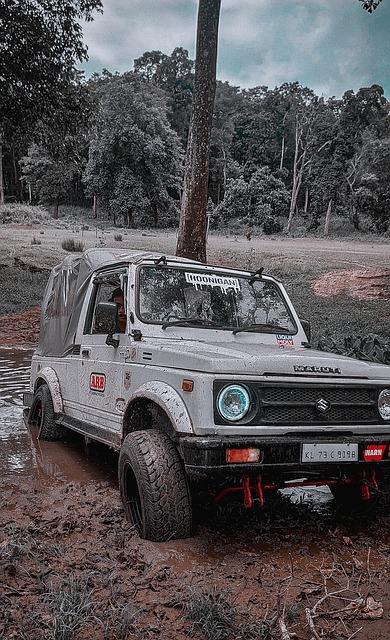 林崴31分同曦不敌广东 李弘权26分上海胜四川.