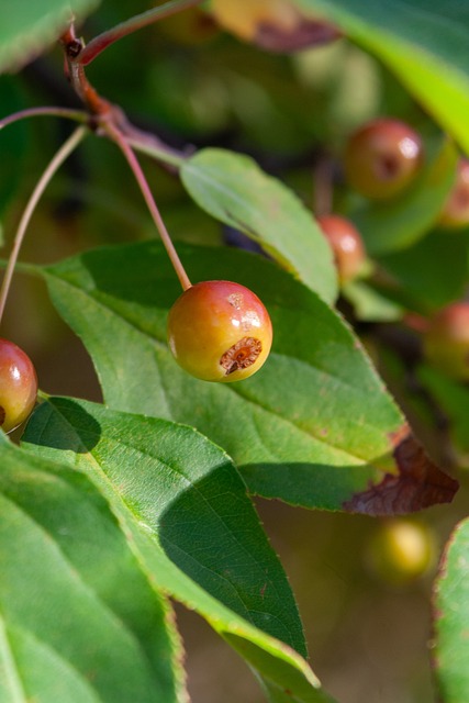 2025达喀尔揭幕 明源实业车队王明磊亮相国际舞台.