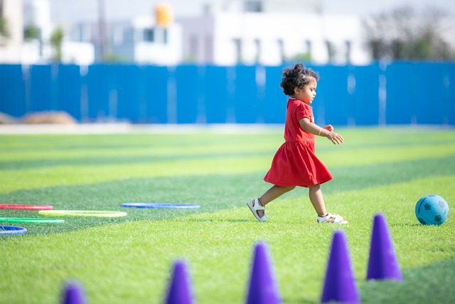 头号种子 头号种子