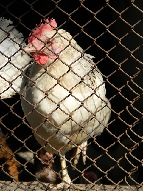 这只是一场 这只是一场